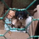 고양농장 이미지