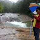 곡성기차마을전통시장 이미지