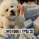 하나로덴탈 | 강아지 치석제거 껌 하나로 관리 끝 본아페티 덴탈껌 솔직 후기