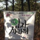 칠보산숲길 이미지