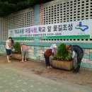 고색초교 이미지