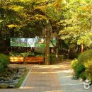 청담공원 Daum카페