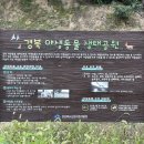 경상북도산림과학박물관(휴관) 이미지