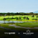 솔라시도컴퍼니
