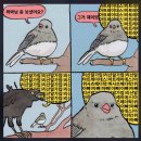 용아맥에 나타난 듄친자.twt 이미지