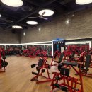 양재역 자마이카피트니스 남/여 트레이너 구인합니다. 이미지