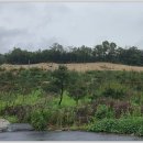 여주-0107 이미지