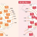 더비치라데나 이미지