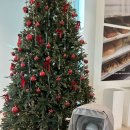 코끼리들이 웃는다 | 육아일기4. 3개월 아기 성장 기록 / 100일의 기적? 100일의 기절? 아토피 진단