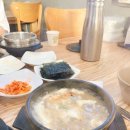 제주 한달살이 26, 27일차 | 남원큰엉 이스틀리 제주자연생태공원 해녀박물관 세화해변 백약이오름 우정...