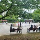 해돋이공원(바닥분수 옆) 이미지