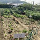 세곡농장 이미지