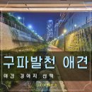 은평구 진관동 289-24(주차장CCTV) | 야간 애견동반 구파발천 산책로에서 심야의 강아지 산책