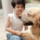 고마워 강아지 이미지