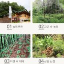 해장라면으로 좋은 산양산삼라면 # 산삼한뿌리가 그대로!!!
