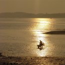 떠나가는 배 이미지