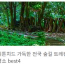 전국자연휴양림