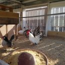 경산펜션민박 이미지