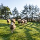 여수하늘목장 이미지