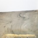 동물에 반하다 동물병원 이미지