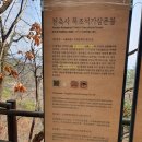 천축사 목조석가삼존불 이미지
