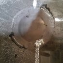 애니카랜드 양덕점 이미지