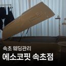 속초 웨딩관리 누워서 하는 다이어트 에소코핏 방문 후기