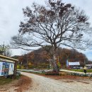 비내섬화장실(비내쉼터 옆) 네이버블로그