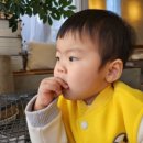 제이드어린이집 이미지