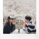 국수나무(김해장유점) | (김해)-&#39;장유도예카페&#39;(부산근교 벚꽃명소/포토존/주차)솔직후기