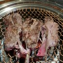 시드니램1901 이미지