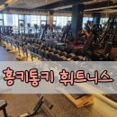 통키통키 | 동두천 홍키통키 헬스장 일일권 후기 구역별 기구와 신기한 머신체험