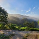 삼태리농장 이미지