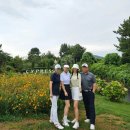 파주 J-Public 골프장 | [제주도 골프 &amp; 리조트] 사이프러스 CC - 골프텔 2박, 대중제코스 18홀 라운딩 솔직후기