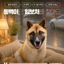 동백/여아/3살 이미지