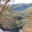 용진도장 | 오인교의 전라도누정기행-고창 선운사 만세루 (禪雲寺萬歲樓)-2