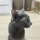 여수자매로캠핑장