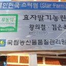 효자딸기