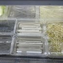 신선마라탕&신화 이미지