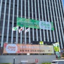 더로컬 314 이미지