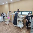 포항애견 이미지