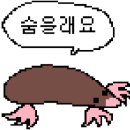 애드샤이 이미지