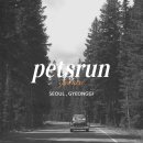 우리고 펫택시 이미지