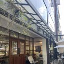 사파동346 이미지