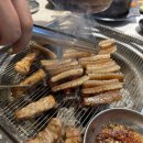 남다른돼지