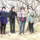 양산원동 순매원의 매화축제 이미지