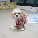 마더앤푸드 이미지