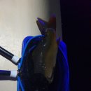 놀러와 실내낚시터 이미지