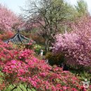 완산공원(정상) 이미지