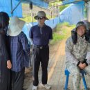 피끝마을녹색농촌체험마을 이미지
